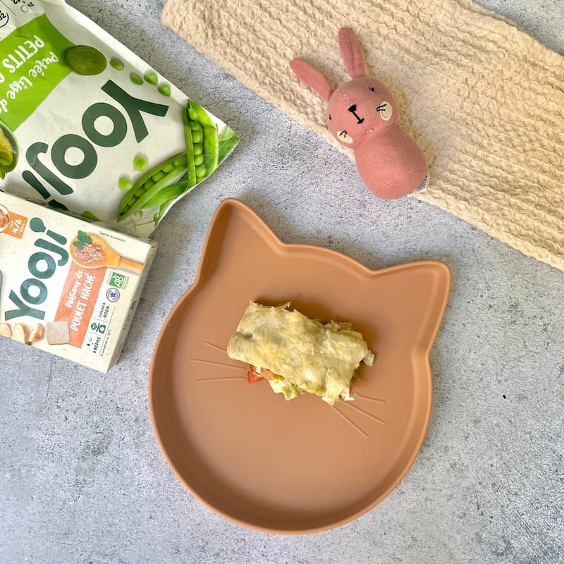 Lasagnes aux légumes et poulet