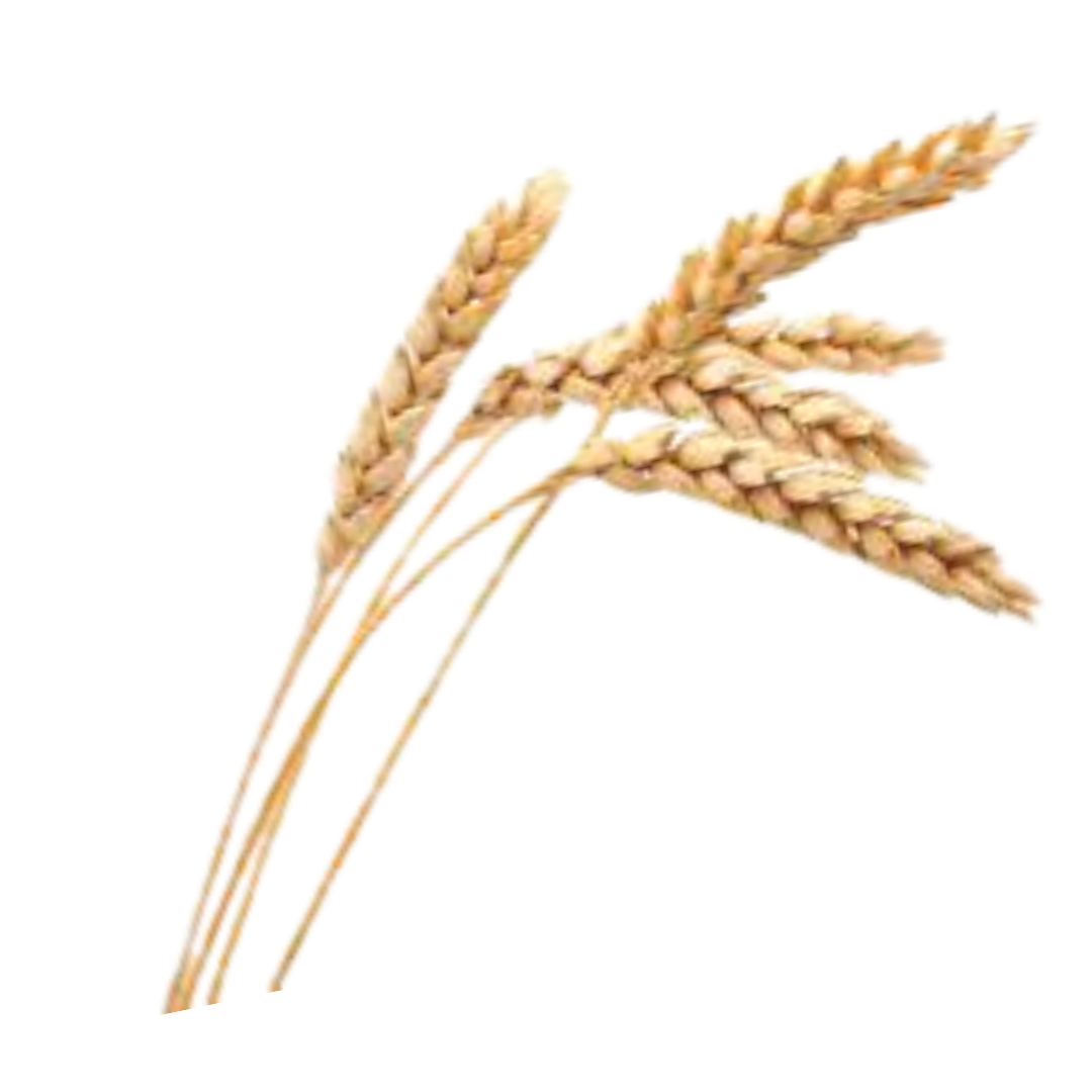 Le blé et...