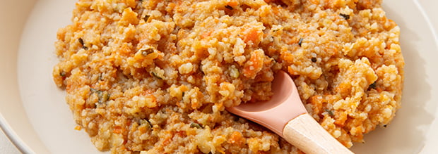12 mois - Écrasé 8+ : Texture comme écrasée à la fourchette