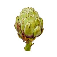Artichaut Bio