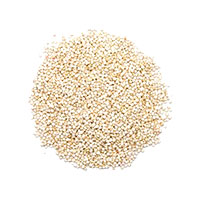 Quinoa blanc bio