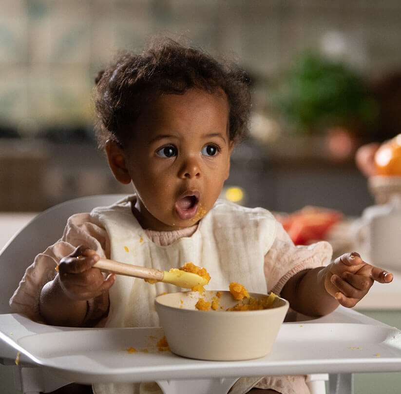 Pack repas bébé bio Petits plats de saison pour Bébé dès 6 ou 8