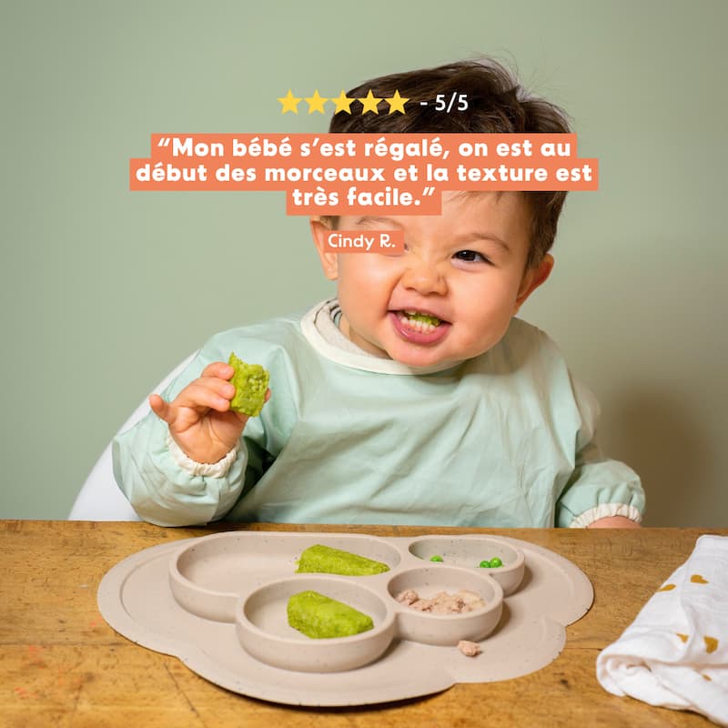 Bâtonnets à manger-main de légumes