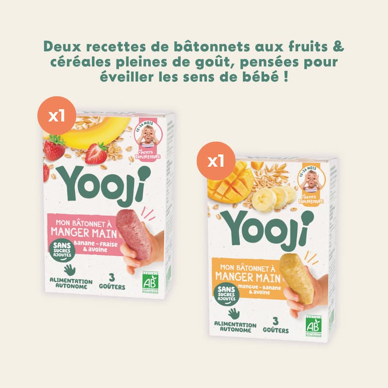 Bâtonnets à manger-main de fruits