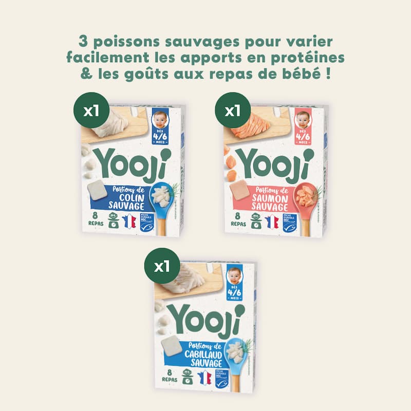 Hachés de poissons sauvages